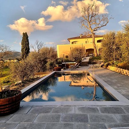 The Olive Grove In Tuscany Toiano Екстериор снимка