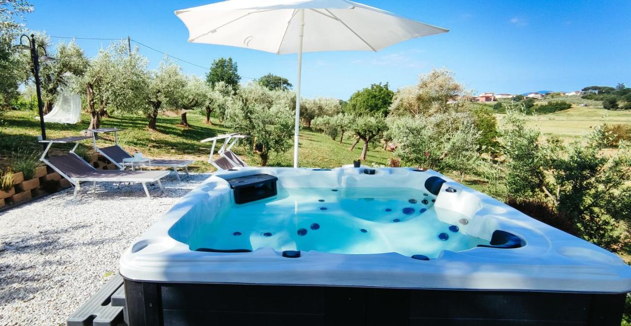 The Olive Grove In Tuscany Toiano Екстериор снимка
