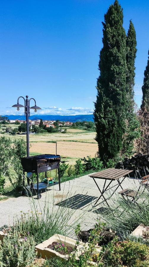 The Olive Grove In Tuscany Toiano Екстериор снимка
