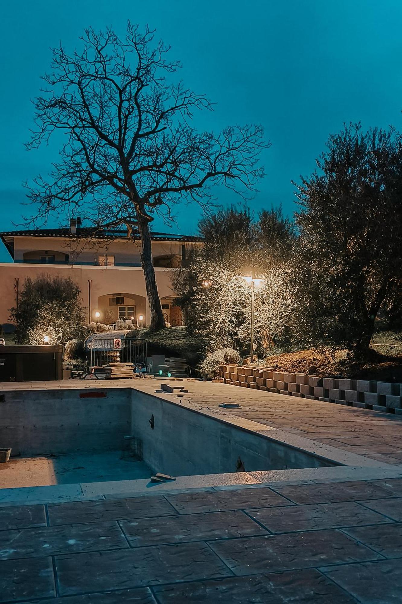 The Olive Grove In Tuscany Toiano Екстериор снимка