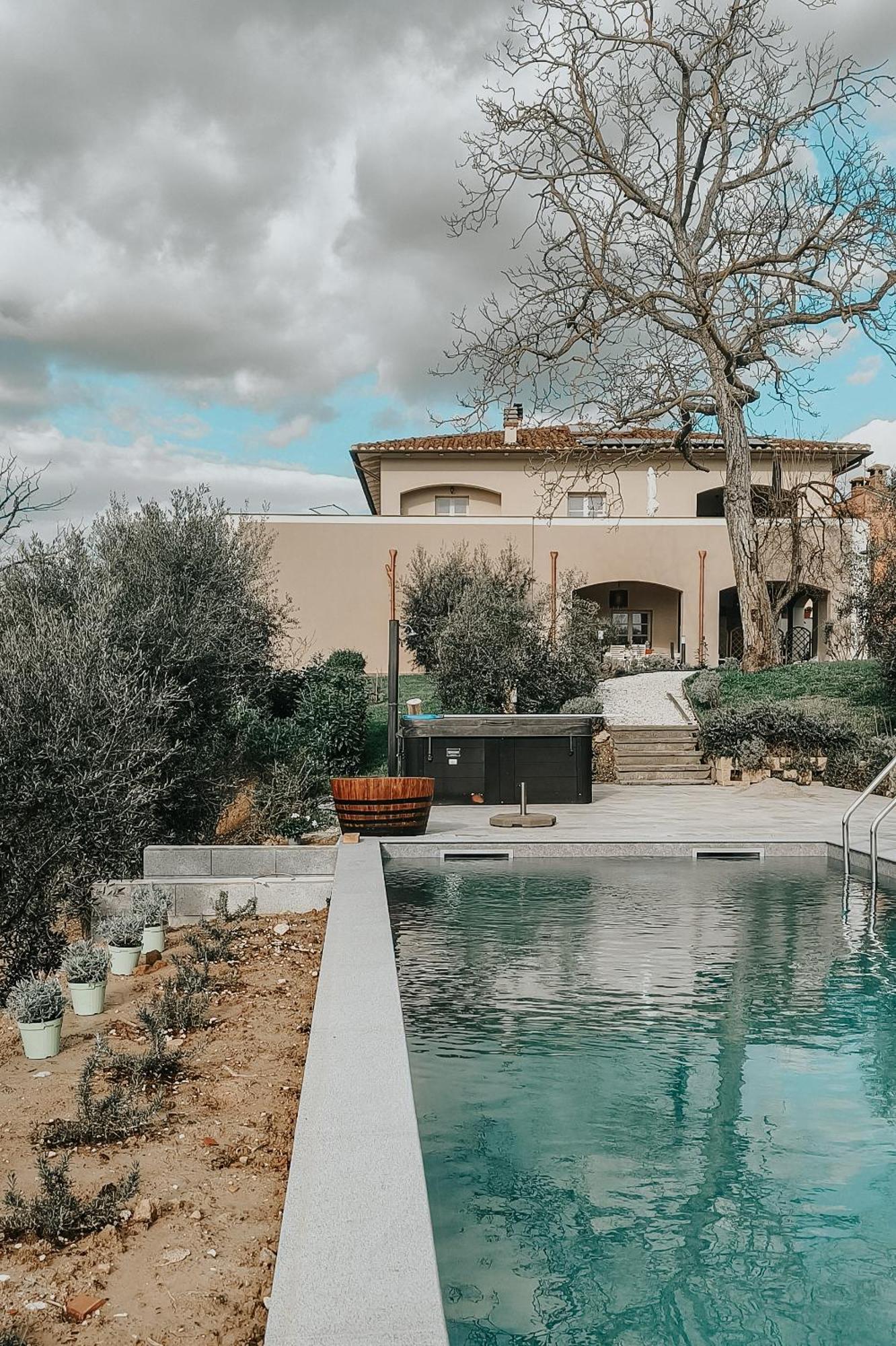 The Olive Grove In Tuscany Toiano Екстериор снимка