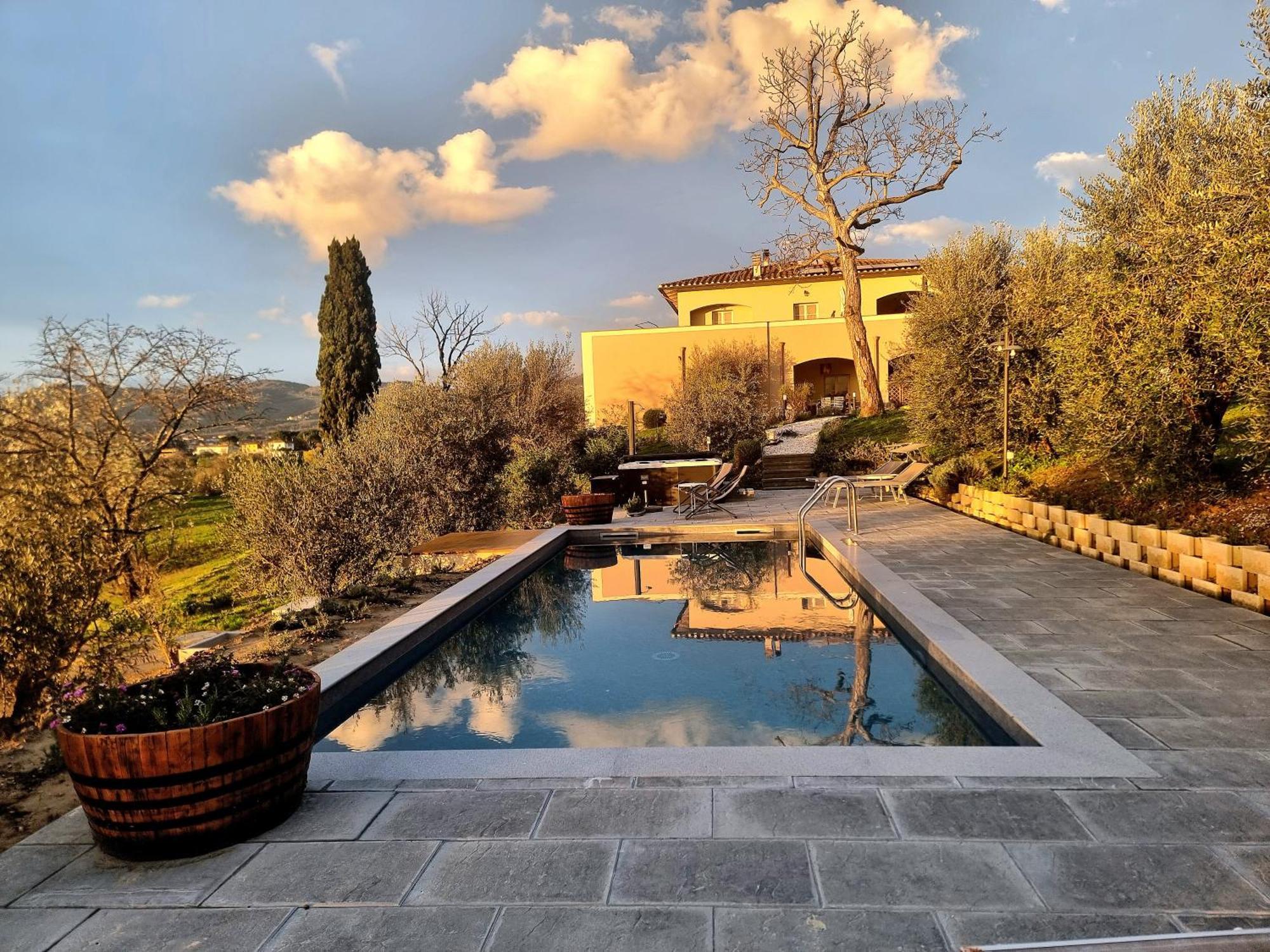 The Olive Grove In Tuscany Toiano Екстериор снимка